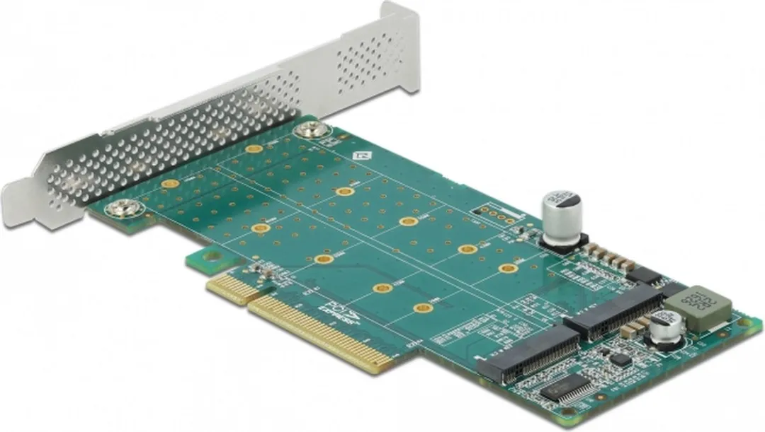 Delock PCIe X8 Kaart 2x M.2 NVMe - Bifurcation - Low Profile