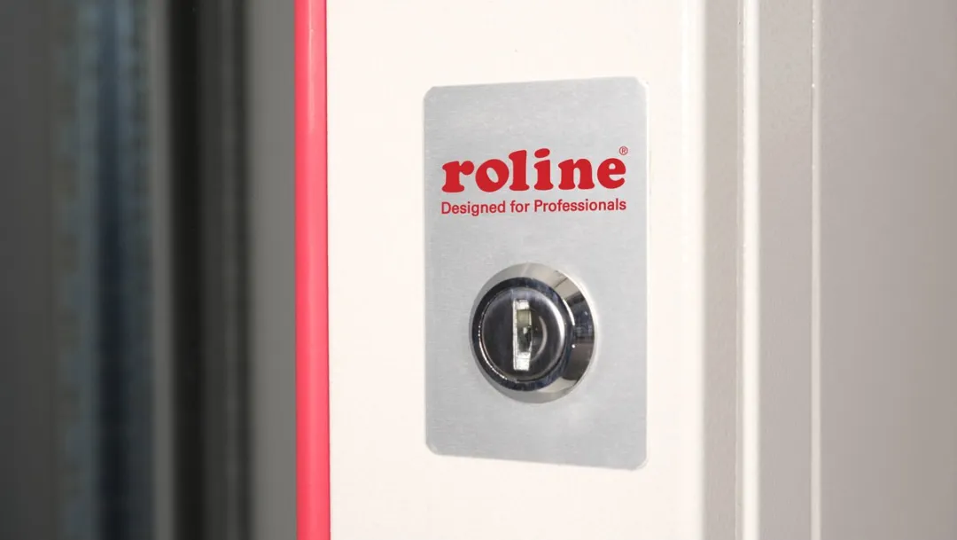 Roline 19-inch Wandbehuizing Pro 12U