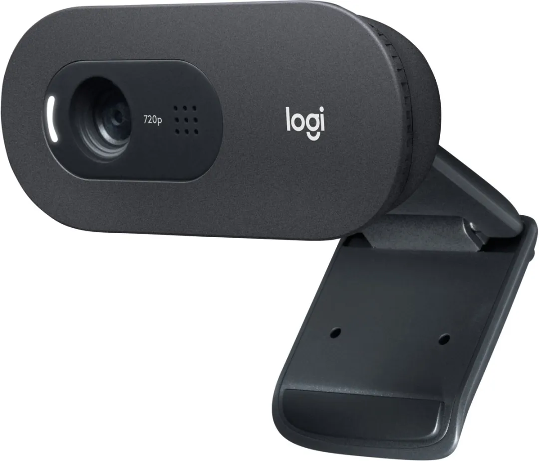 Logitech C505 HD Webcam - Zwart