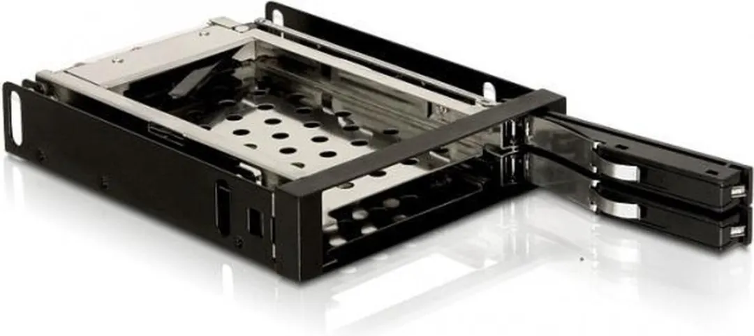 Delock 47189 Mobile Rack 2x 2,5" SATA