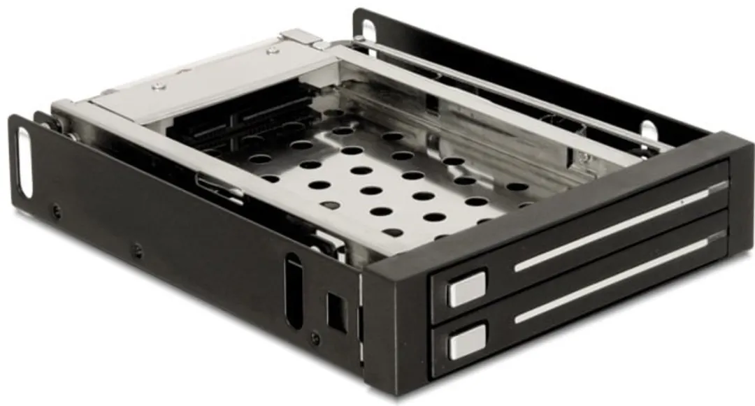 Delock 47189 Mobile Rack 2x 2,5" SATA - 3,5" - Zwart