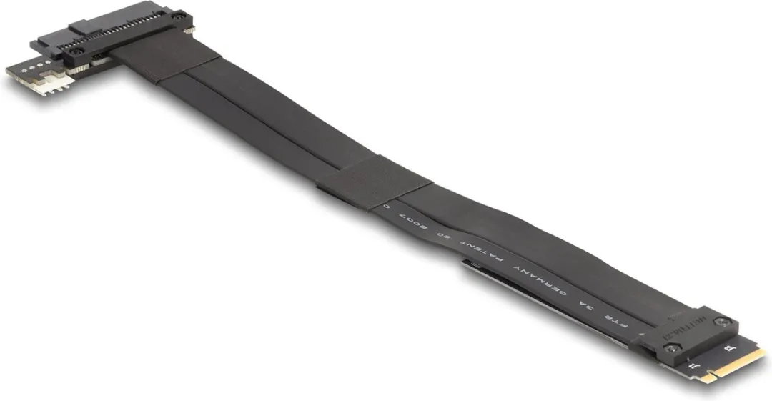 Delock 64216 M.2 Key M naar U.2 NVMe Adapter - 20cm