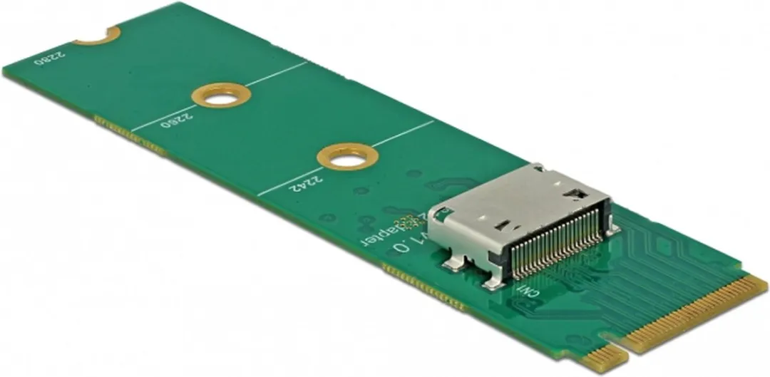 Delock 64040 M.2 Interfacekaart
