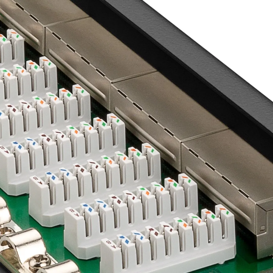 Goobay 10" Patch Panel 12 Poorten CAT6a - Zwart