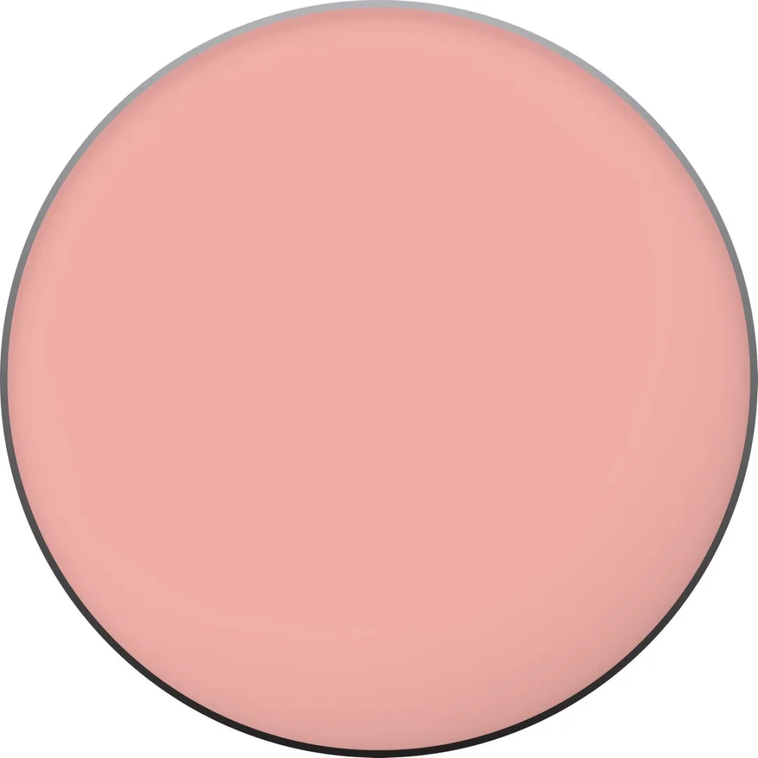 L'Oréal Paris Color Riche L'Ombre Pure Mono Oogschaduw 104 La Vie en Rose - 2.5ml
