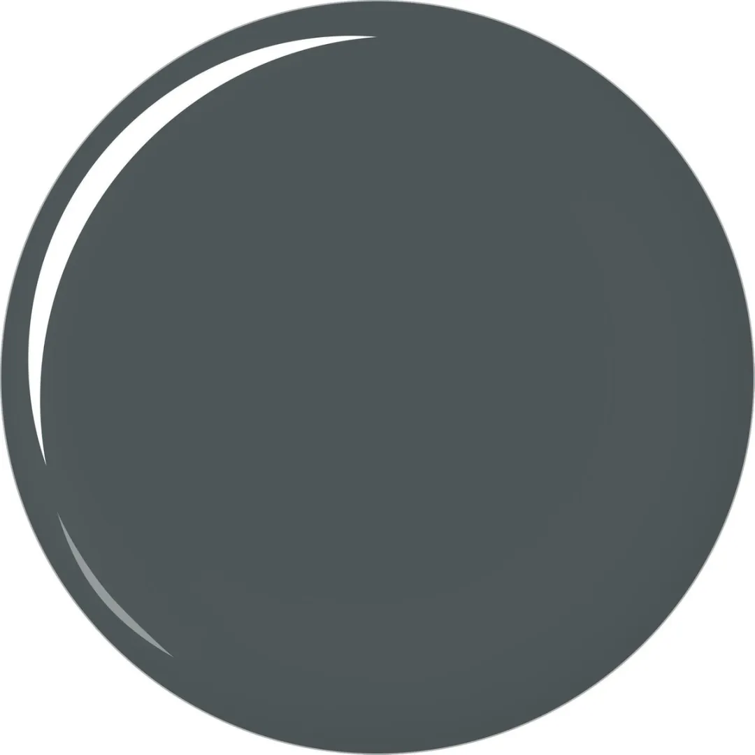 L'Oréal Paris Color Riche Nagellak 840 Black Diamond - 5ml