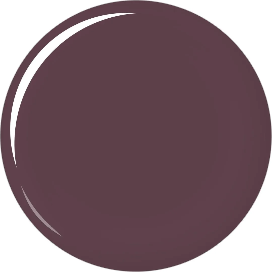 L'Oréal Paris Color Riche Matte Lippenstift 473 Obsidian