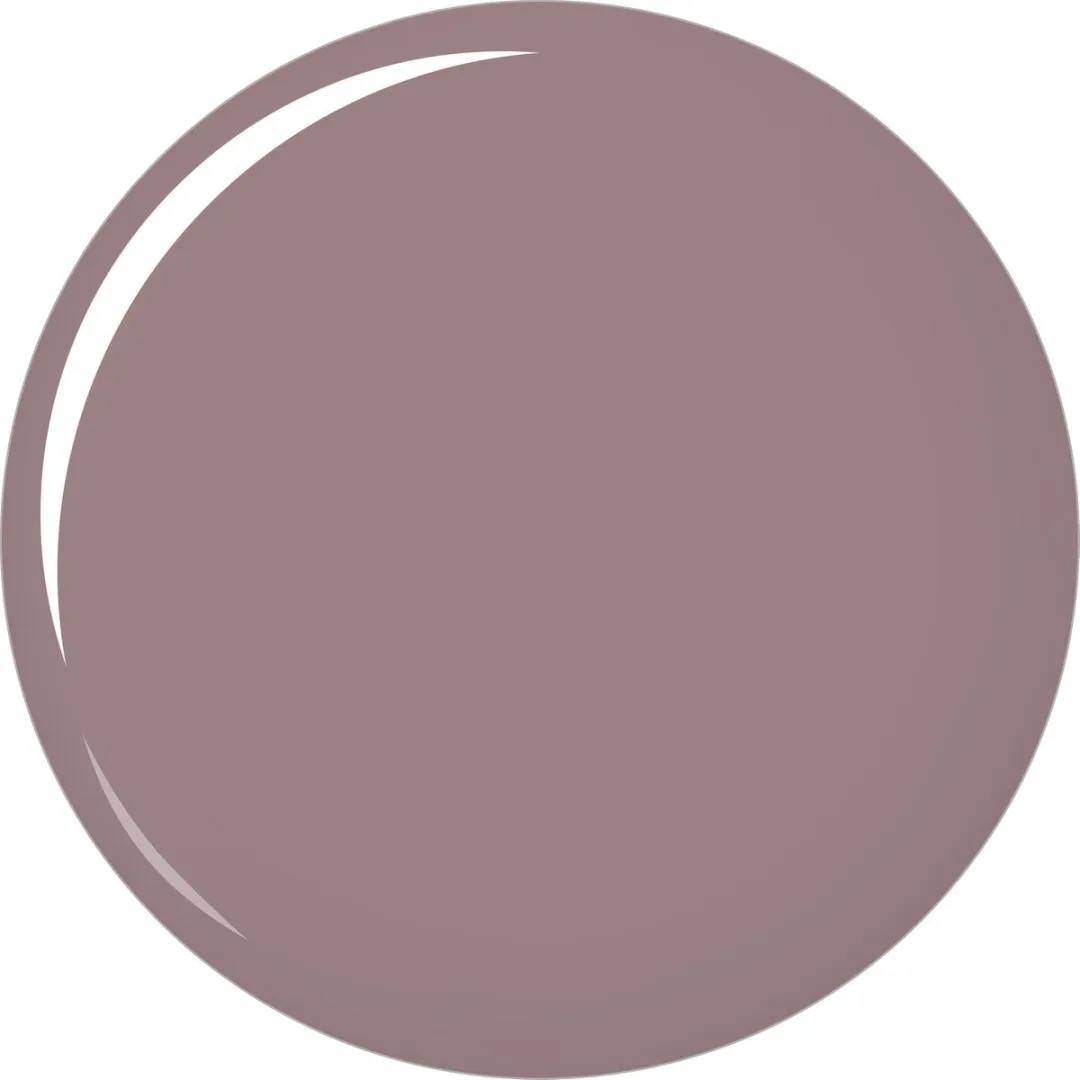 L'Oréal Paris Color Riche Matte Lippenstift 908 Storm - Violet