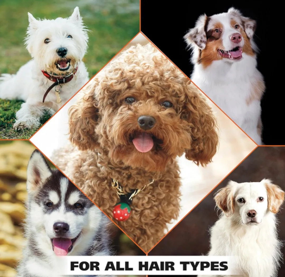 Wahl Honden Shampoo Havermout 709ml - Droge Huid & Jeuk