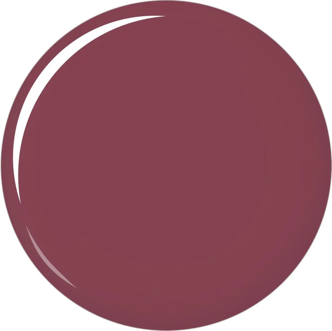 L'Oréal Paris Color Riche Lipstick 255 Blush In Plum - 3ml