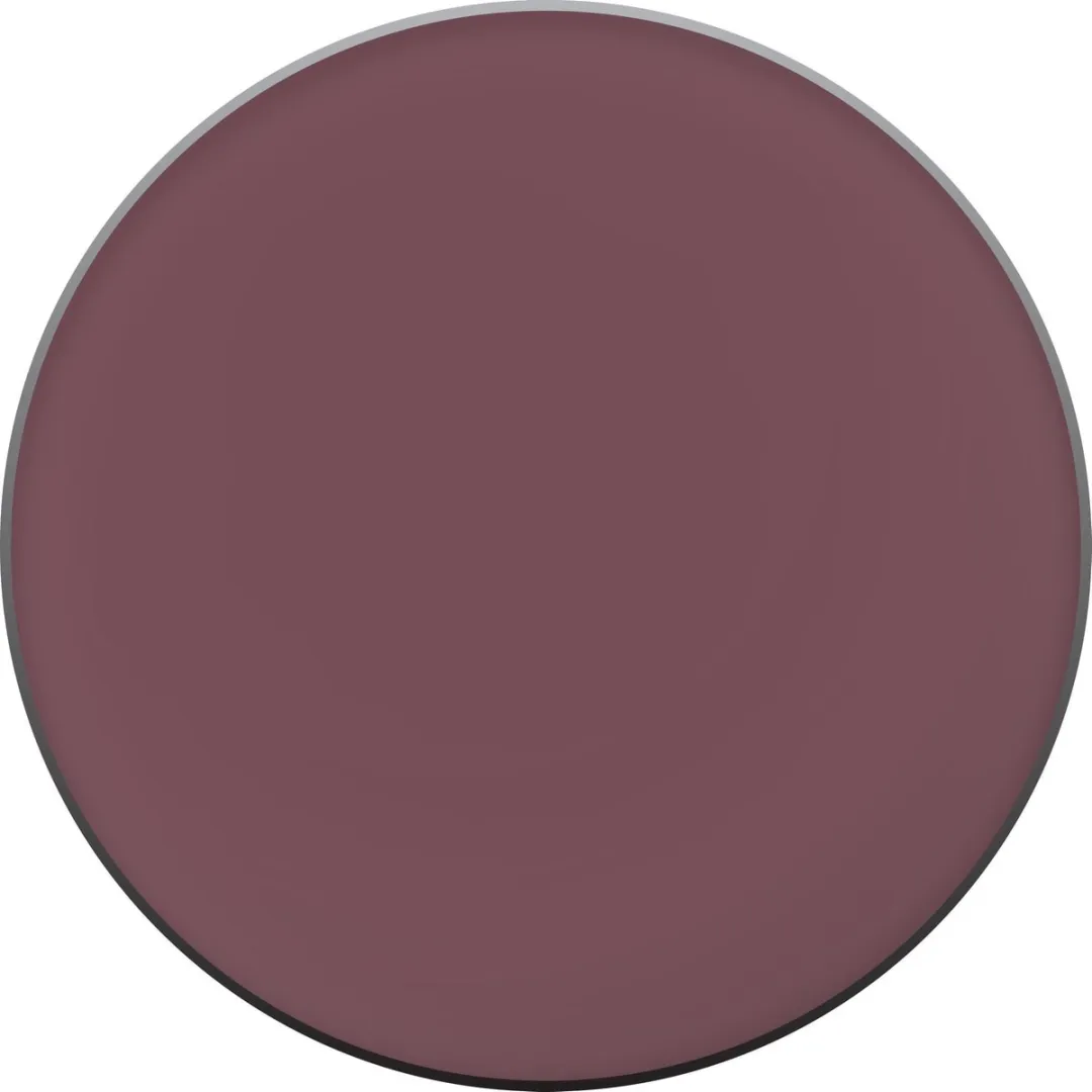 L'Oréal Paris Color Riche L'Ombre Pure Mono Oogschaduw 301 Bordeaux - 2g
