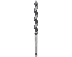 Bosch Professional Slangenboor 11x160mm