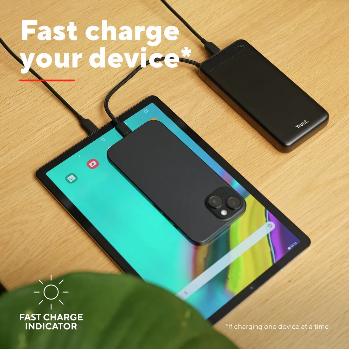 Trust Fiera Powerbank 20000mAh 25881 - 2x USB-C - 20W - Zwart
