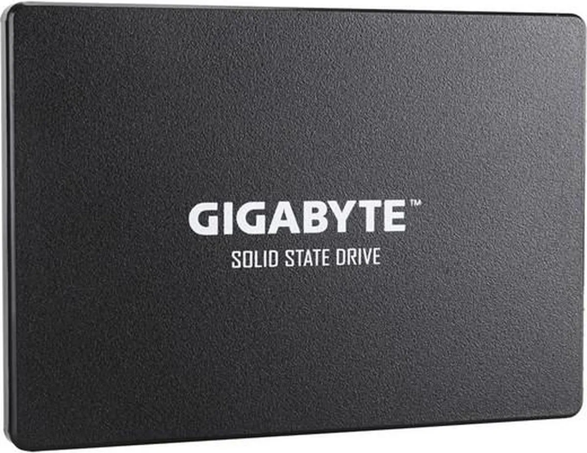 Gigabyte GP-GSTFS31256GTND SSD 256GB - Zwart