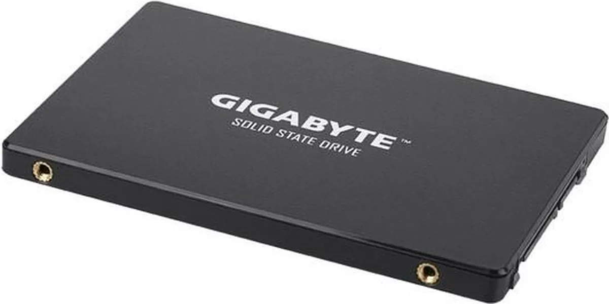 Gigabyte GP-GSTFS31256GTND SSD 256GB - Zwart