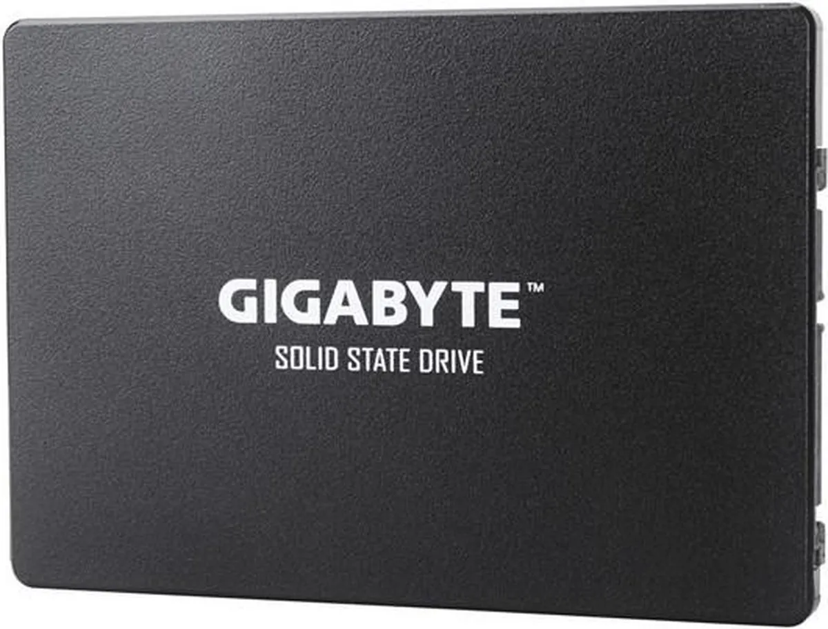 Gigabyte GP-GSTFS31256GTND SSD 256GB - Zwart