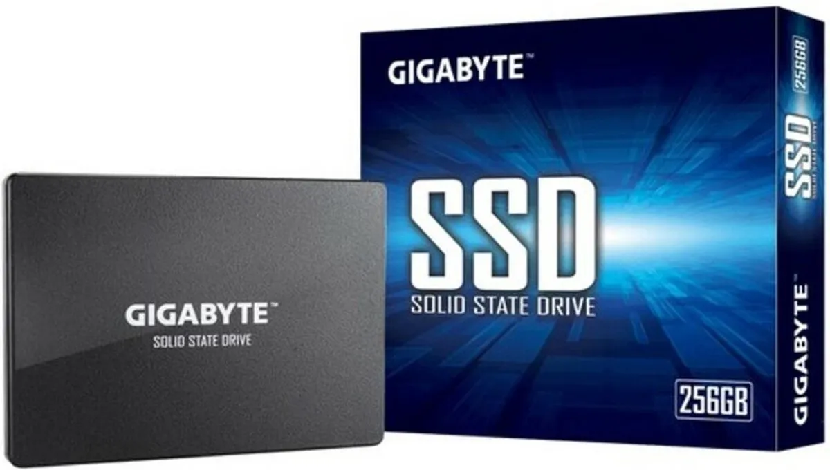Gigabyte GP-GSTFS31256GTND SSD 256GB