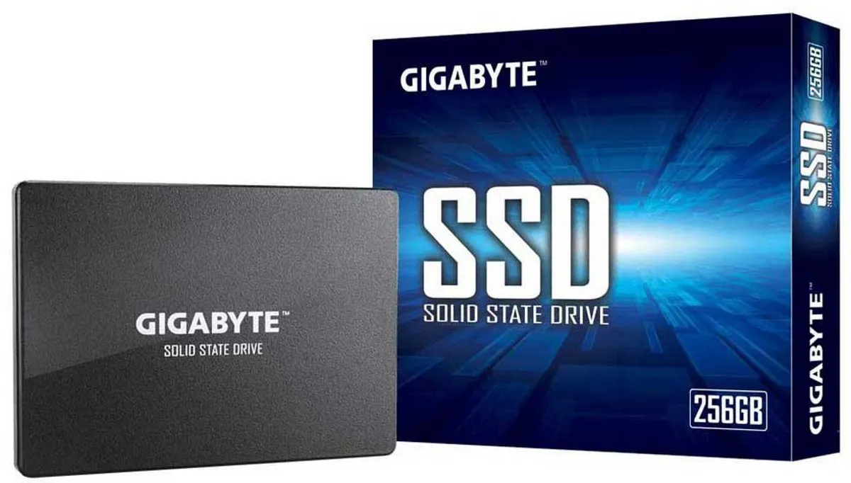Gigabyte GP-GSTFS31256GTND SSD 256GB - Zwart