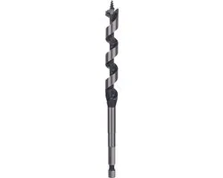 Bosch Professional Slangenboor 12x160mm