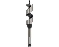 Bosch Professional Slangenboor 25x160mm
