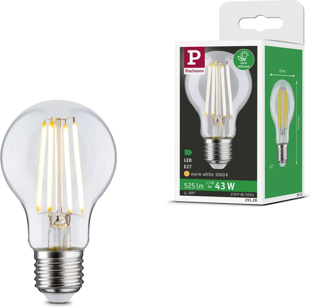 Paulmann Eco-Line LED-gloeilamp E27 2,5W 525lm