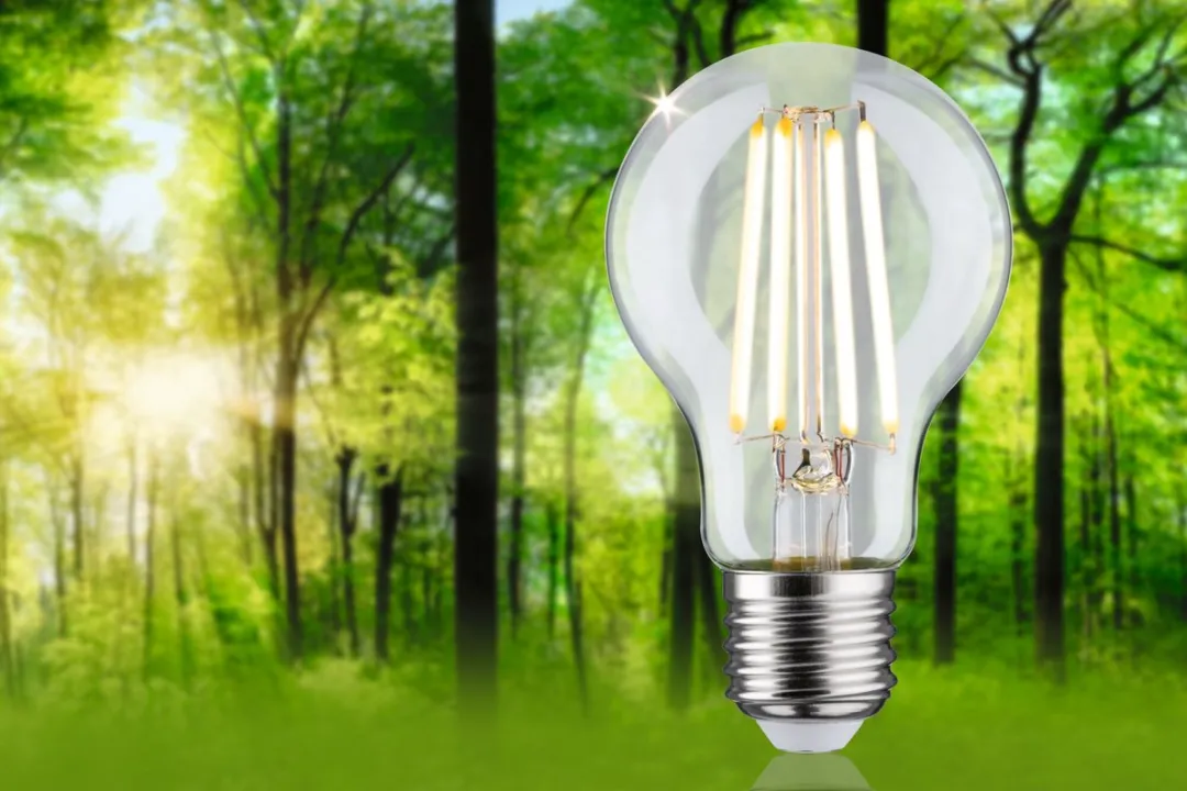 Paulmann Eco-Line LED-gloeilamp E27 2,5W 525lm - Warm wit