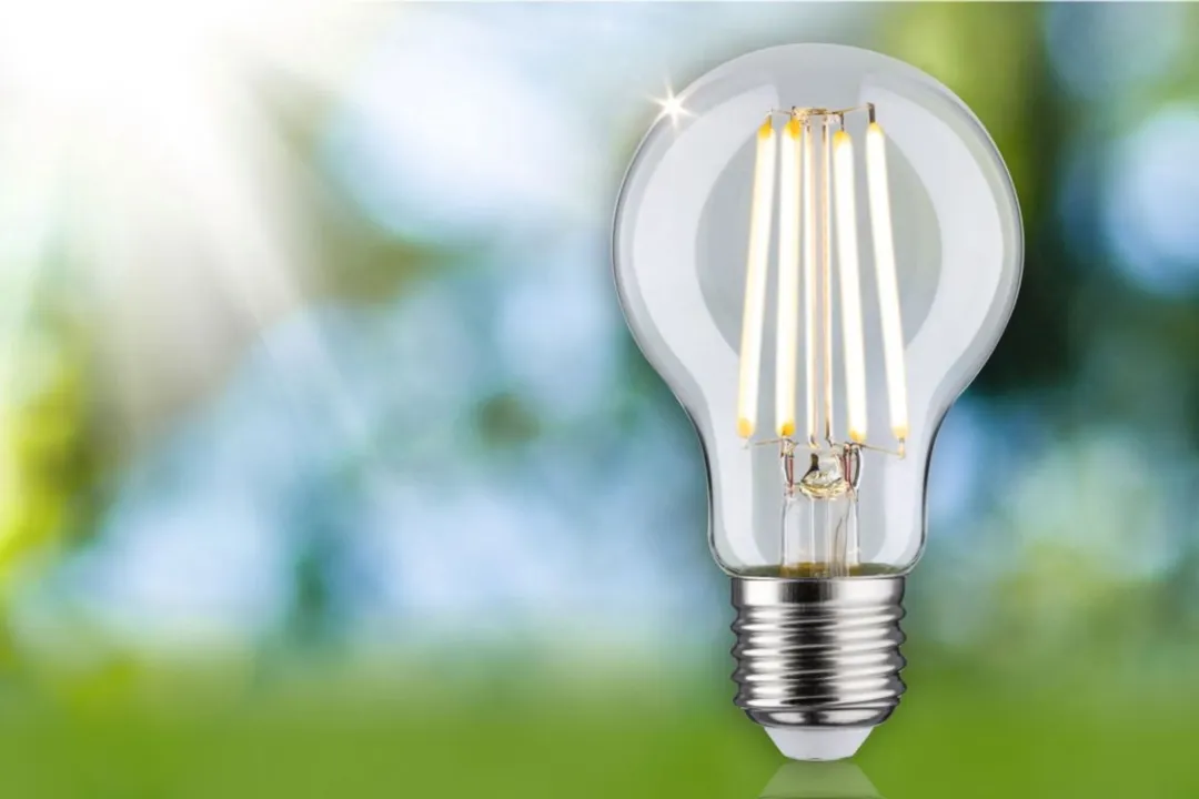 Paulmann Eco-Line LED-gloeilamp E27 2,5W 525lm - Warm wit - afbeelding 6 van 6