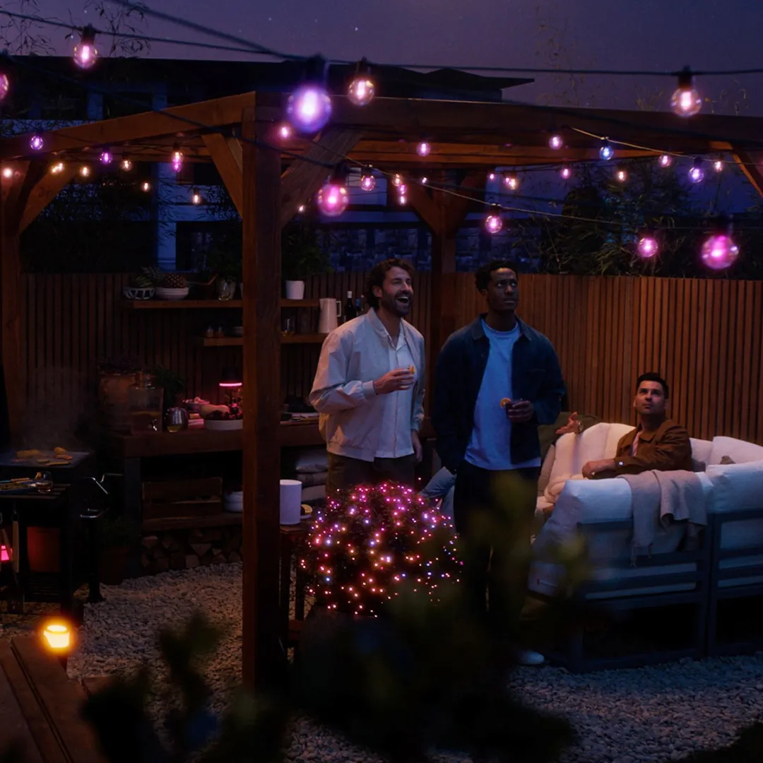 Philips Hue Festavia Lichtslinger 30 Globelampen - 21m Wit & Kleur - Incl. Dimmer Switch - afbeelding 6 van 6