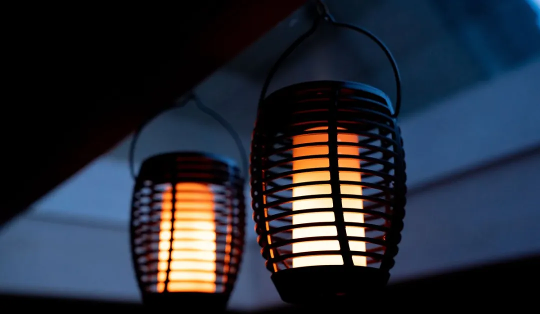 FlinQ Torch Solar Tuinfakkels - 2 Stuks - Zwart