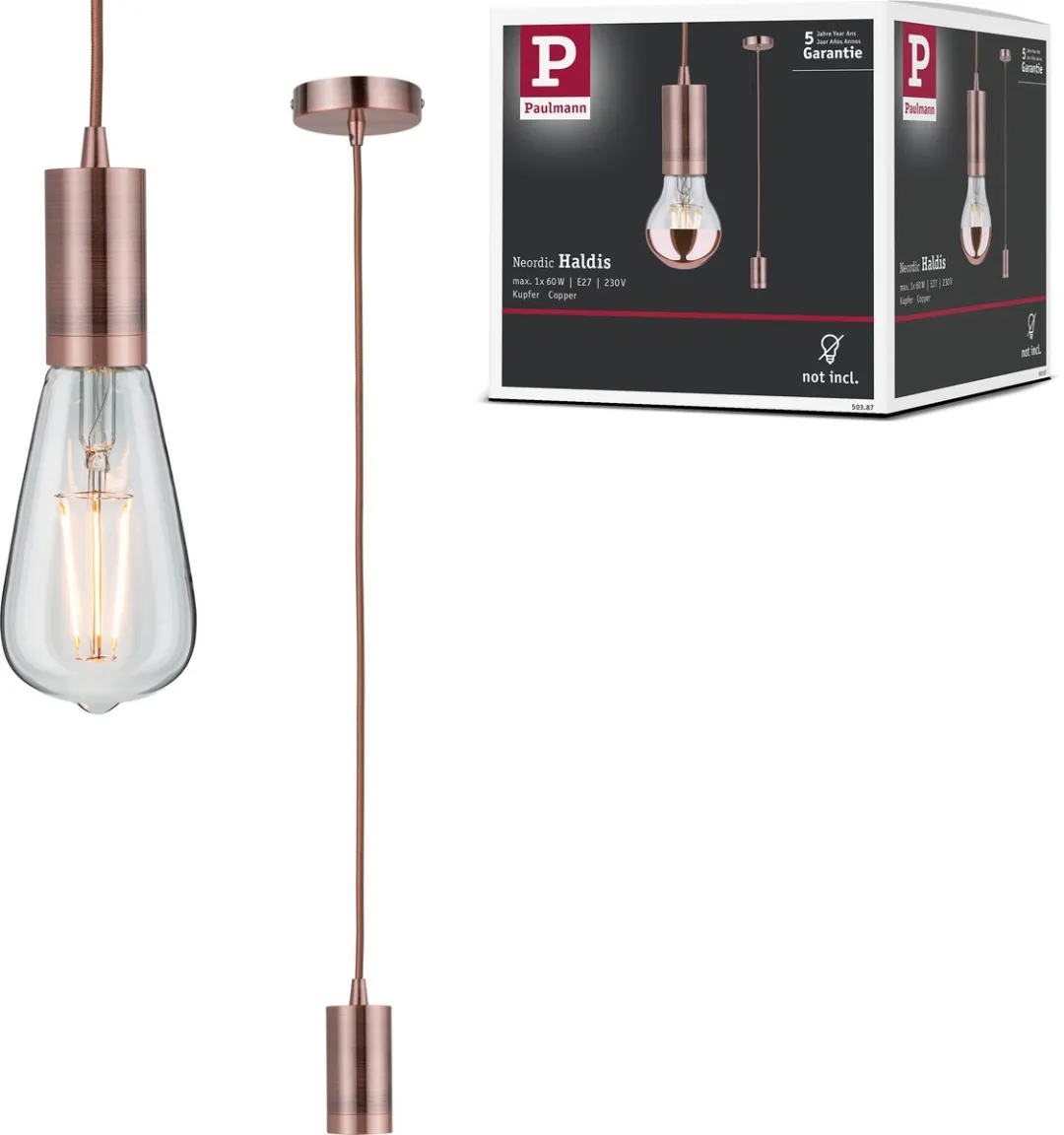 Paulmann Neordic Hanglamp Haldis E27 60W