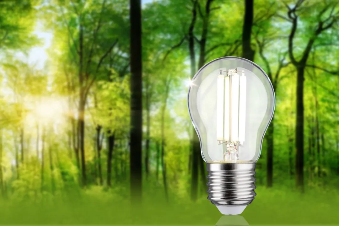 Paulmann Eco-Line LED Kogellamp 230V 80mm 525lm - 2,5W 4000K