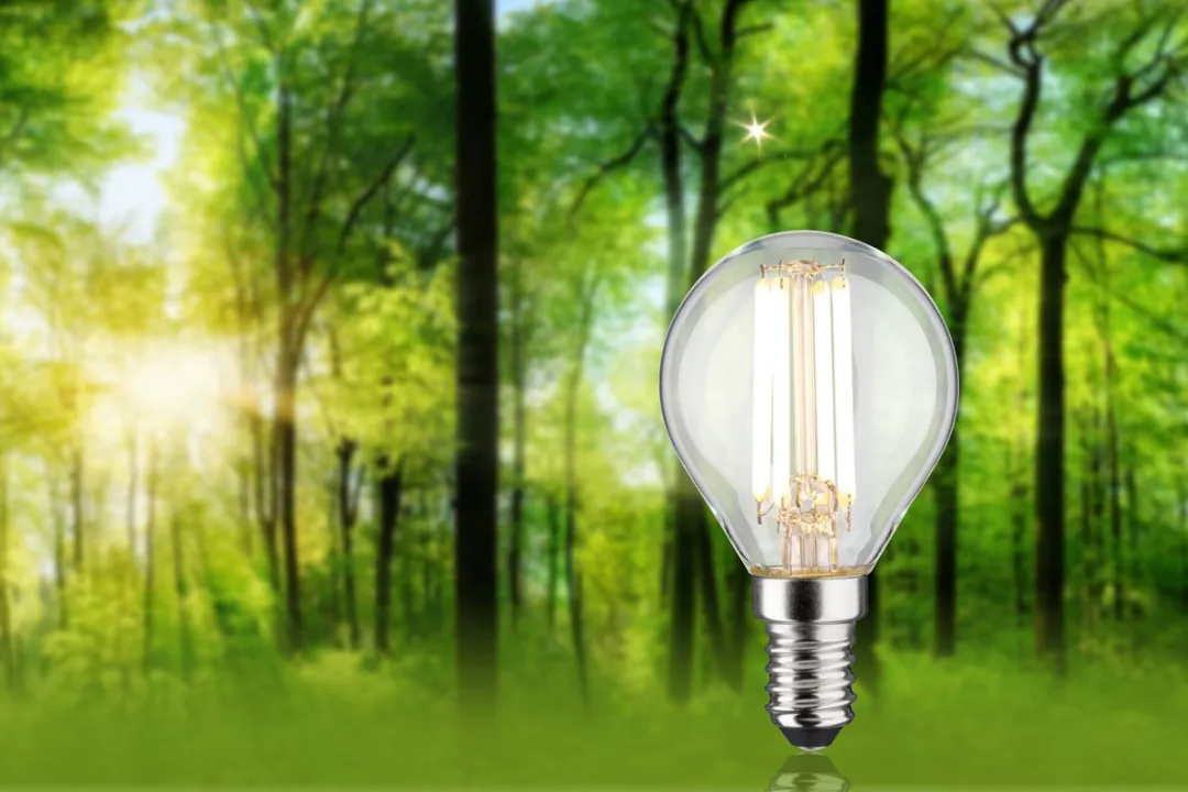 Paulmann Eco-Line LED Kogellamp E14 4W 840lm 3000K
