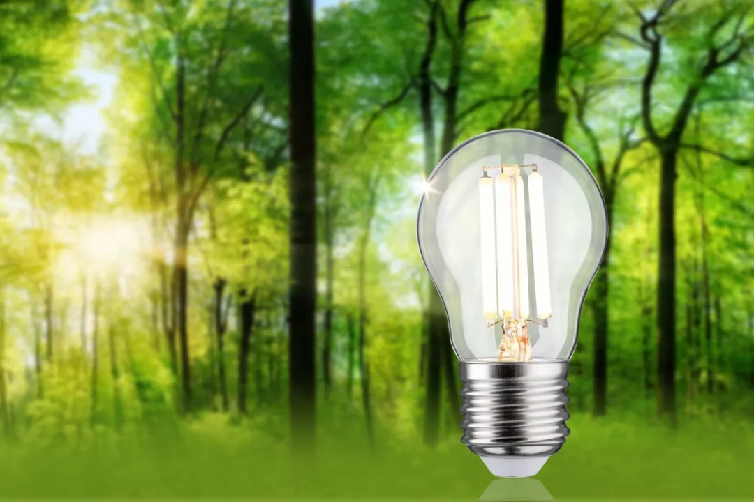 Paulmann Eco-Line LED Kogellamp Set 1x 80mm 840lm 4W