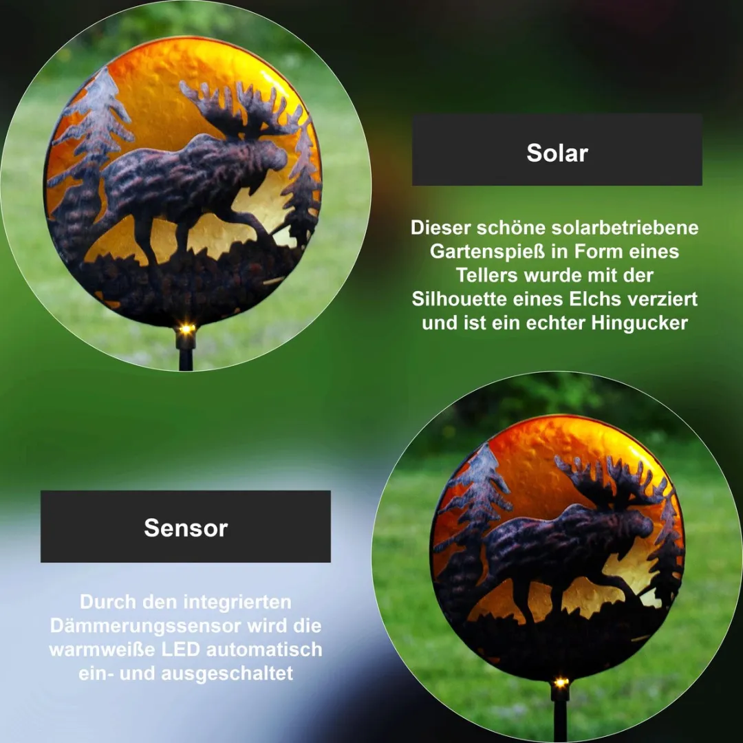 Star Trading Solar Path Light Moosy - Zwart