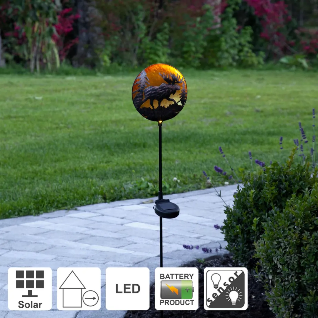 Star Trading Solar Path Light Moosy - Zwart