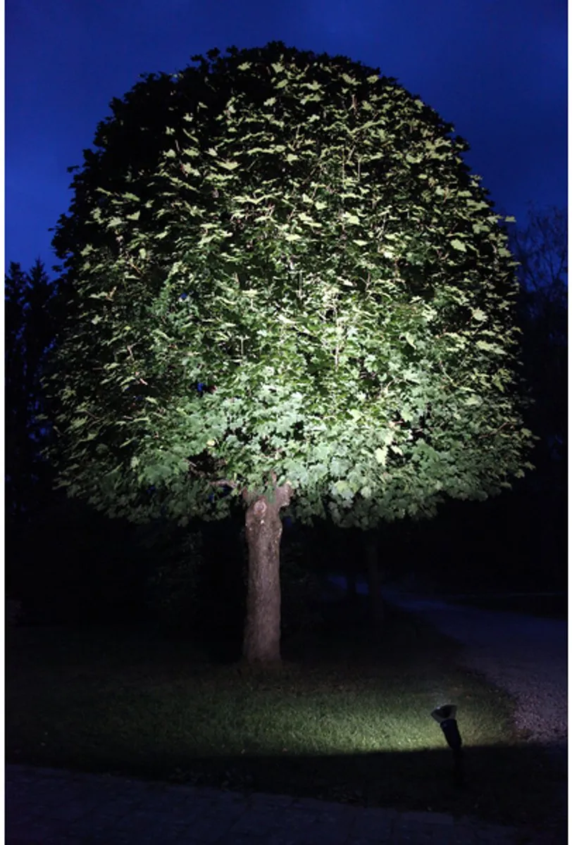 Star Trading 356-81 LED-lamp 15W 4000K E27 - Helder glas