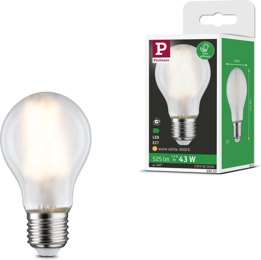 Paulmann Eco-Line Filament LED-gloeilamp E27 525lm 2,5W 3000K