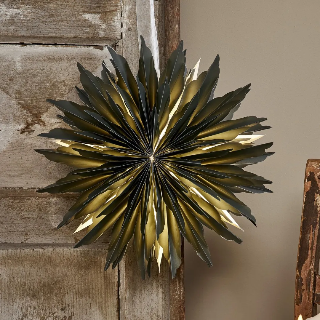 Star Trading Papierster Dis Groen 40cm - afbeelding 6 van 6