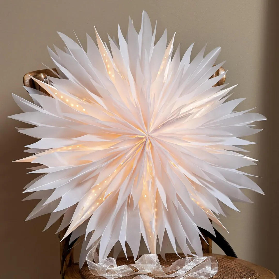 Star Trading Papieren Ster Schijf 50cm - Wit met Franje - afbeelding 3 van 6