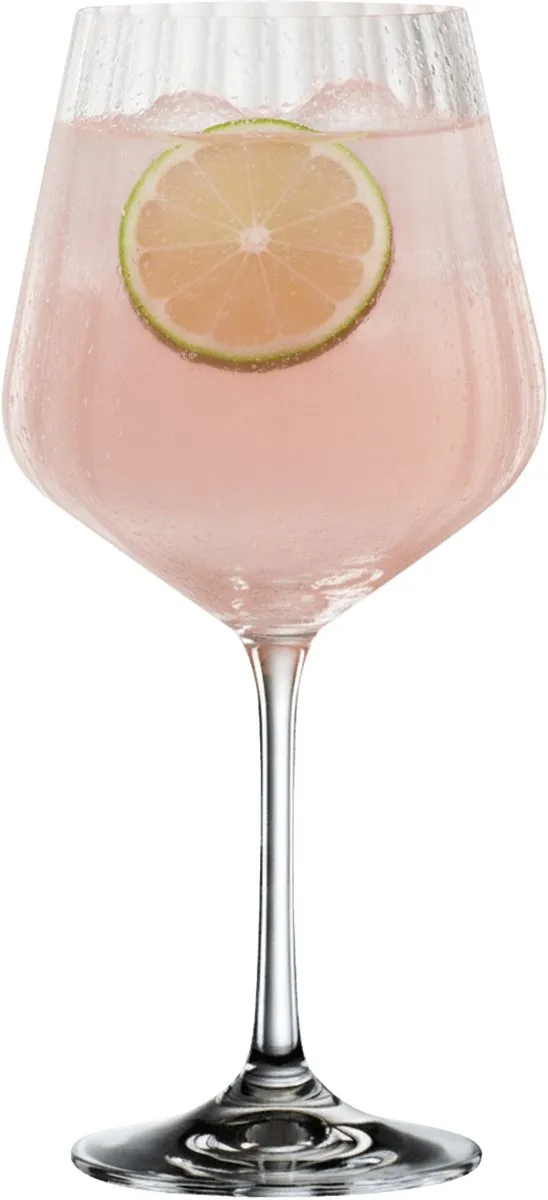 Nachtmann Celebration Gin & Tonic Glazen 12 Stuks