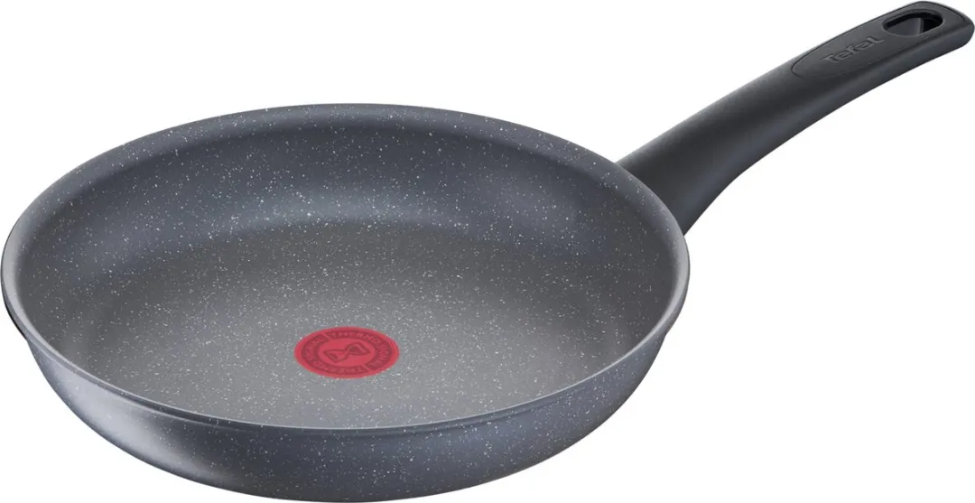 Tefal Healthy Chef Koekenpan 24cm - Inductie - Grijs