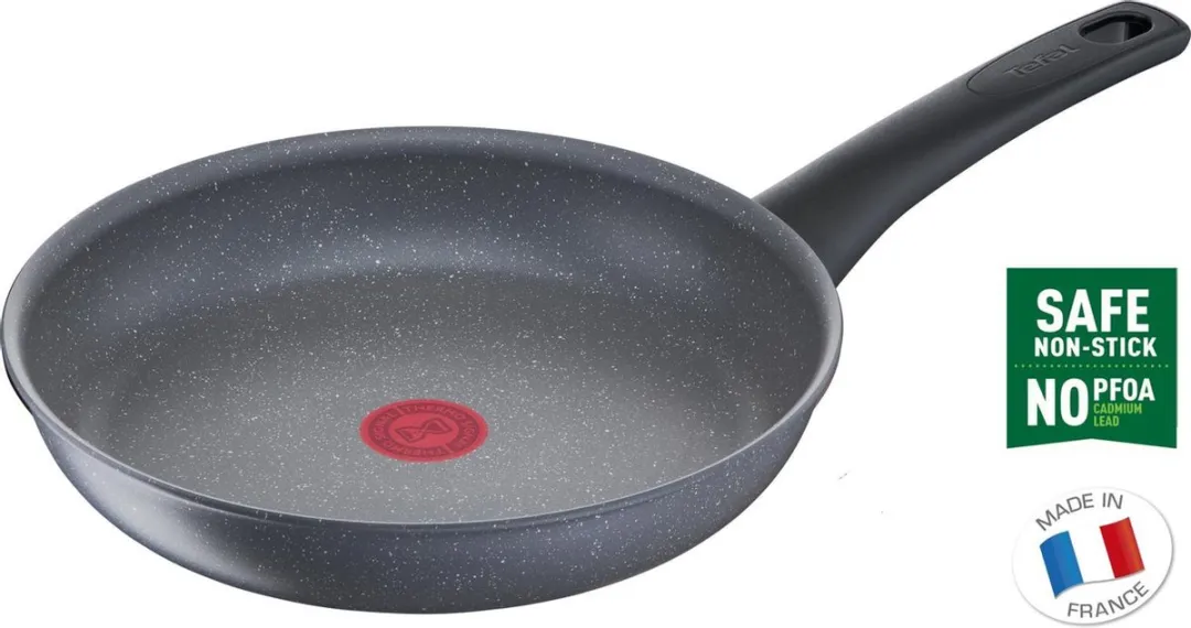 Tefal Healthy Chef Koekenpan 24cm - Inductie - Grijs