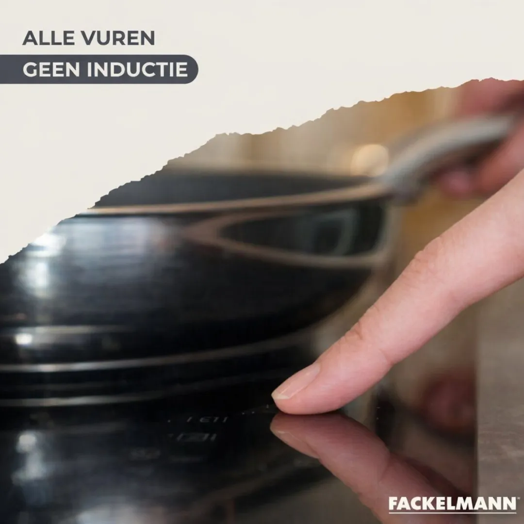 Fackelmann Roestvrijstalen Set 2 Pannen 20cm & 24cm - Inductie - Roestvrij staal/Zwart