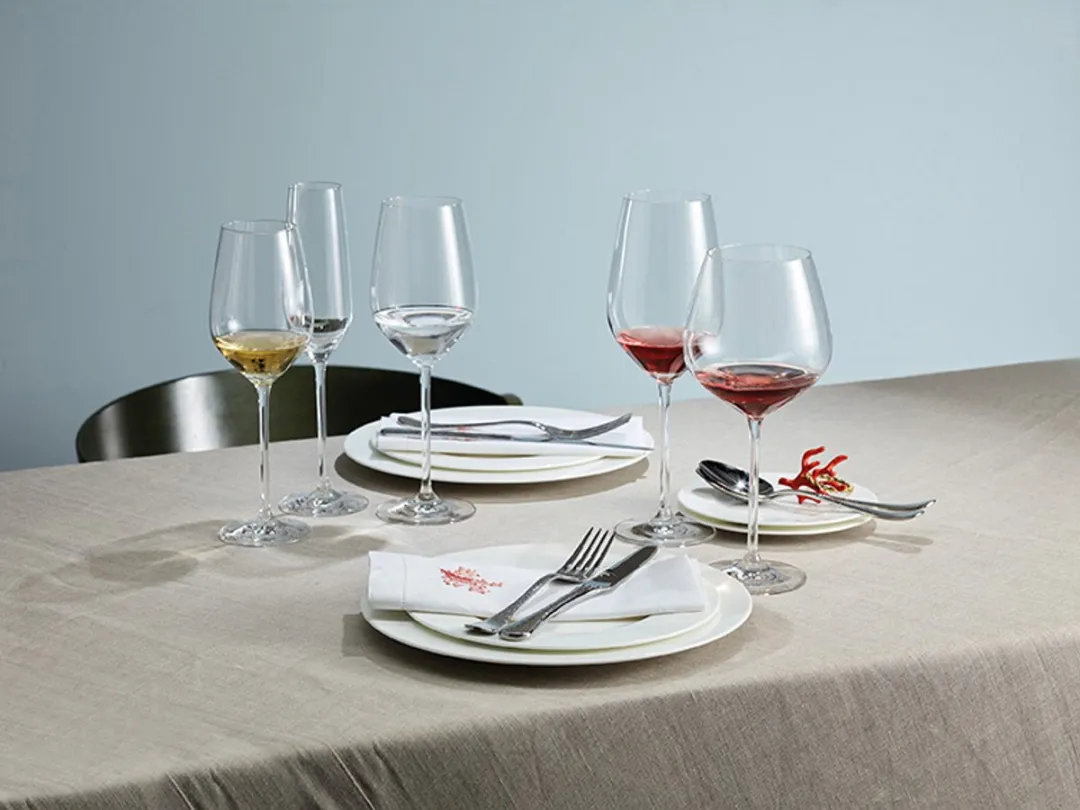 Schott Zwiesel Fortissimo Waterglas 0.51L - Set van 6