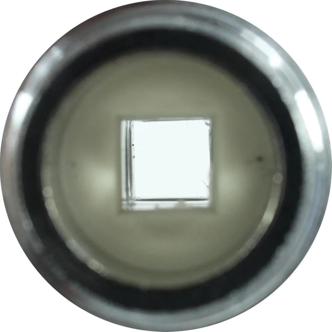 Scanpart Magnetische Ontkalker 1120000023 - 4 Personen