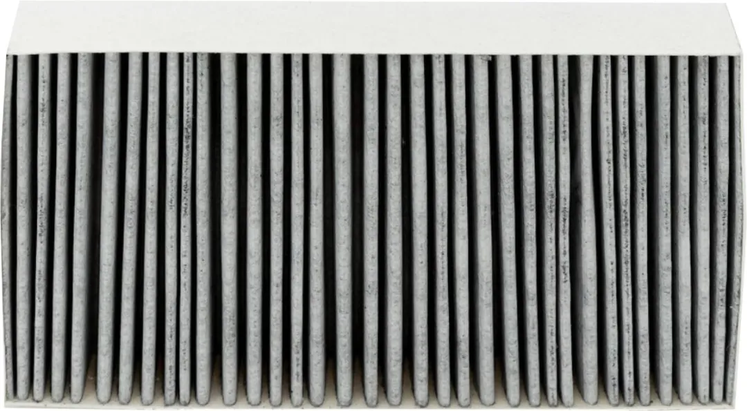 Scanpart Actief Koolstoffilter DKF29-P 11292130