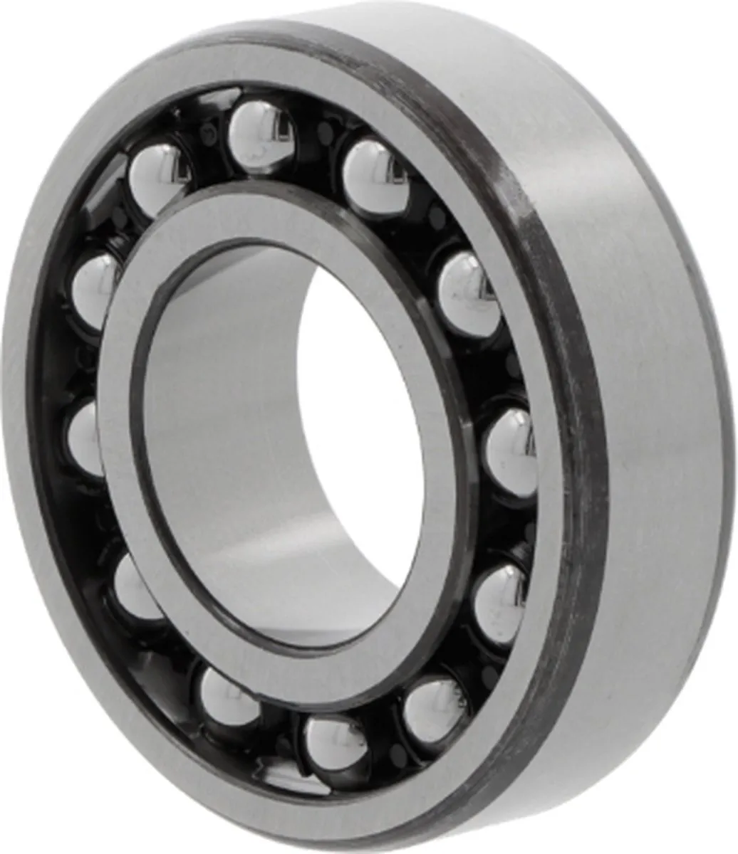 SKF 1302 ETN9 Zelf-instellend kogellager 15x42x13mm