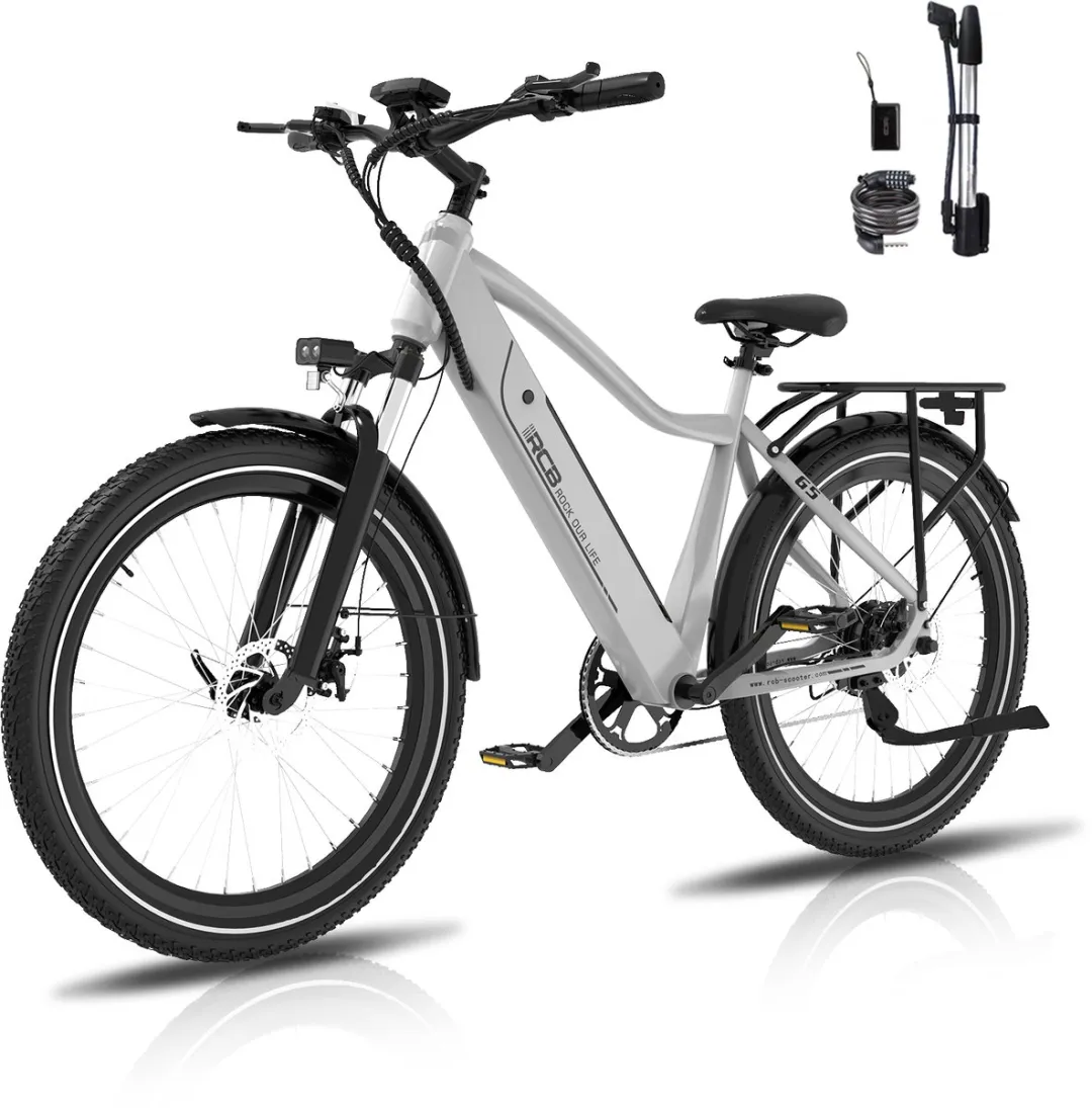 RCB G5 Elektrische Fiets 250W