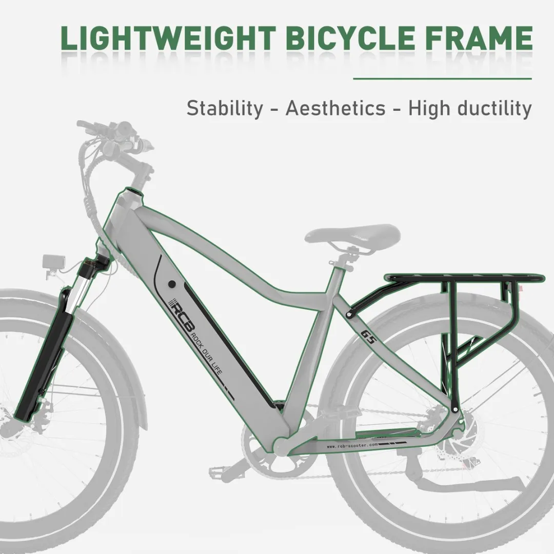 RCB G5 Elektrische Fiets 250W - 7 Versnellingen - 468Wh - Zilver