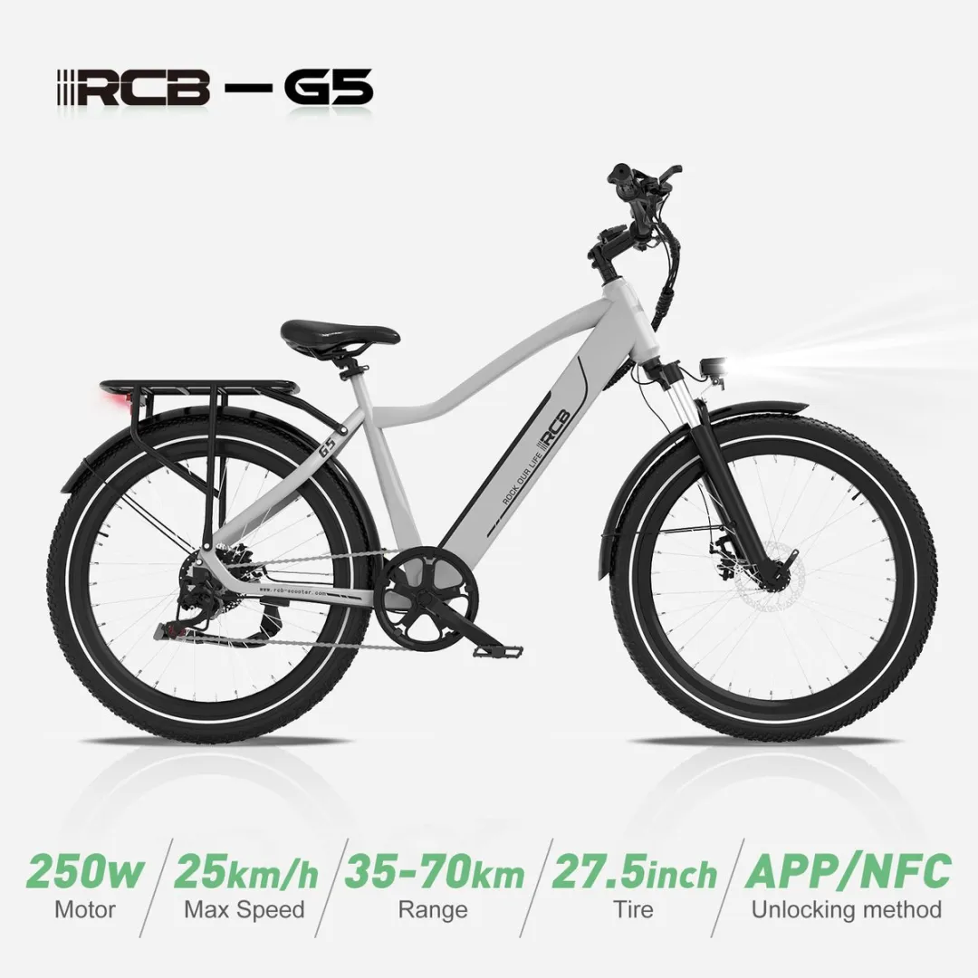 RCB G5 Elektrische Fiets 250W - 7 Versnellingen - 468Wh - Zilver